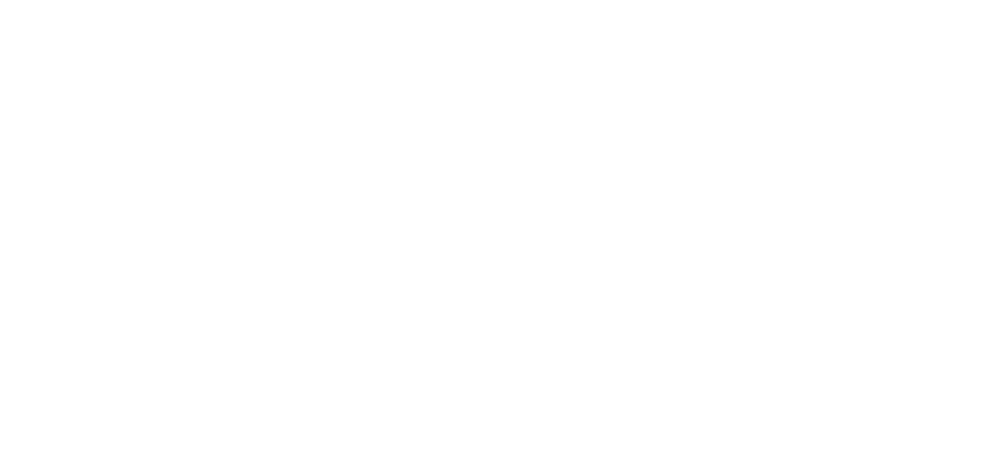 The Bartenders Institute